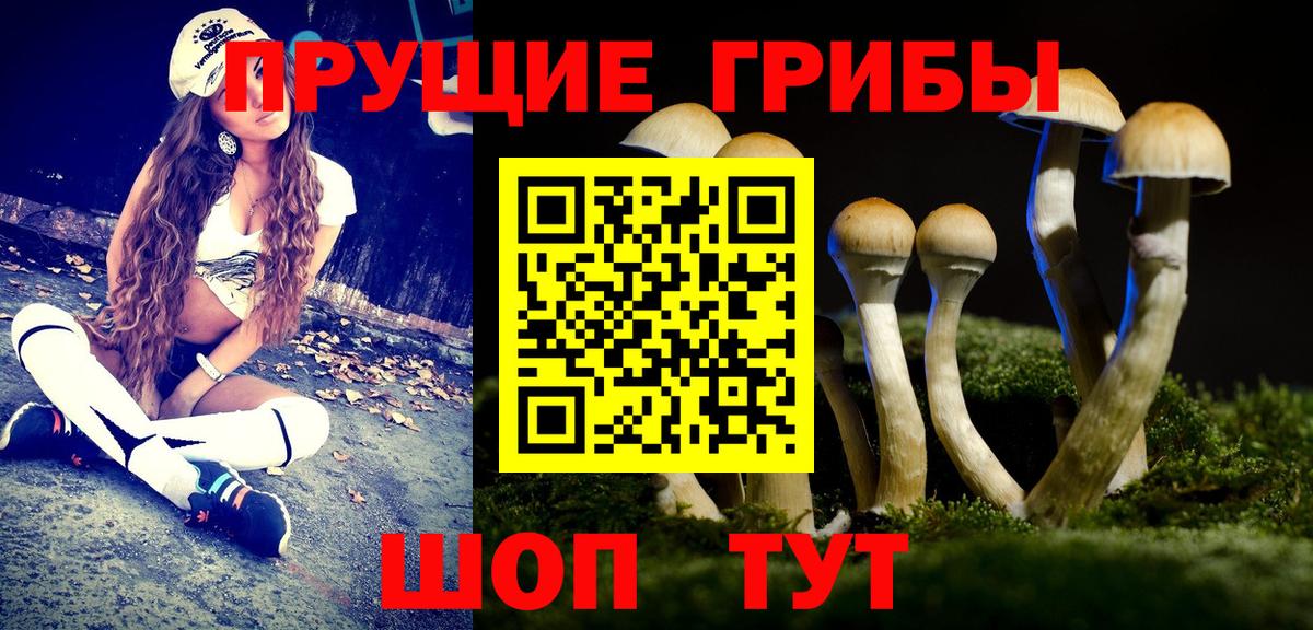 Псилоцибиновые грибы ЛСД Майский